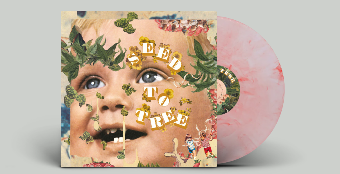Seed to Tree – A Little Life, Vinyl
